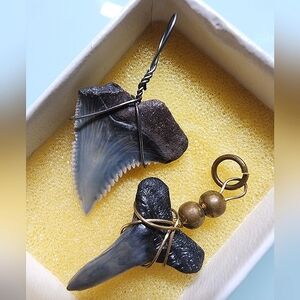 Vintage Rare Fossilized Snaggletooth Shark Tooth Pendant (2)